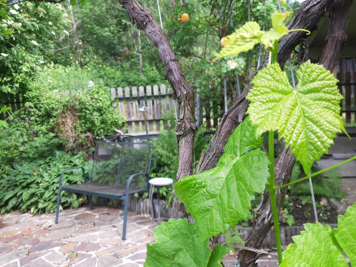 Appartement Genigau Wagrain Zewnętrze zdjęcie